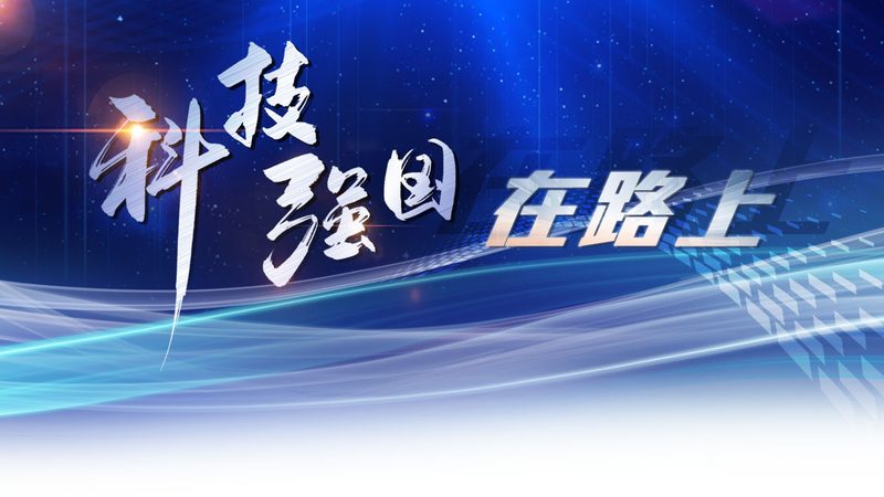 Nginx API 网关配置从零到可用的五个关键步骤